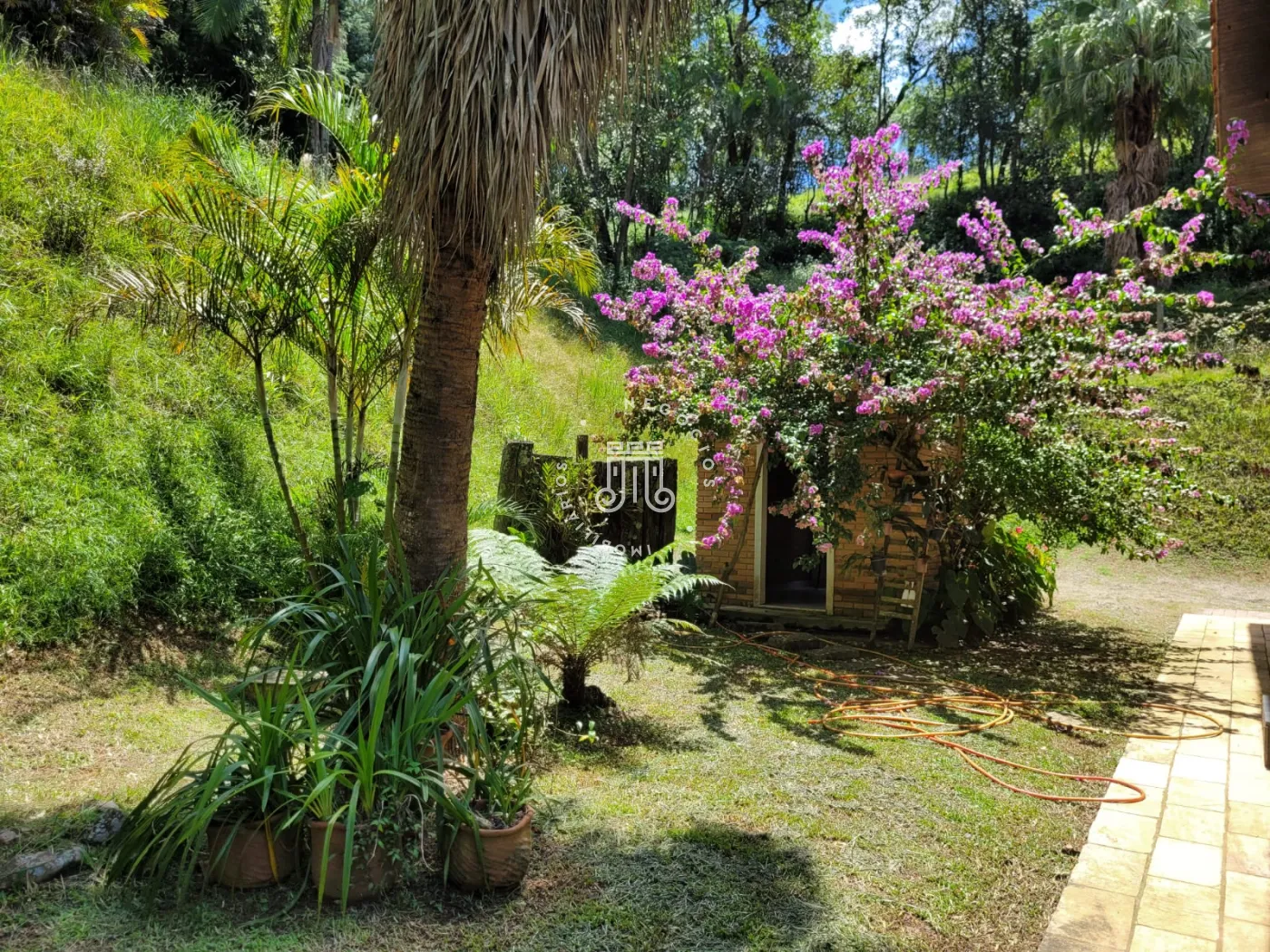 Comprar Rural / Chácara em Jundiaí R$ 2.500.000,00 - Foto 17