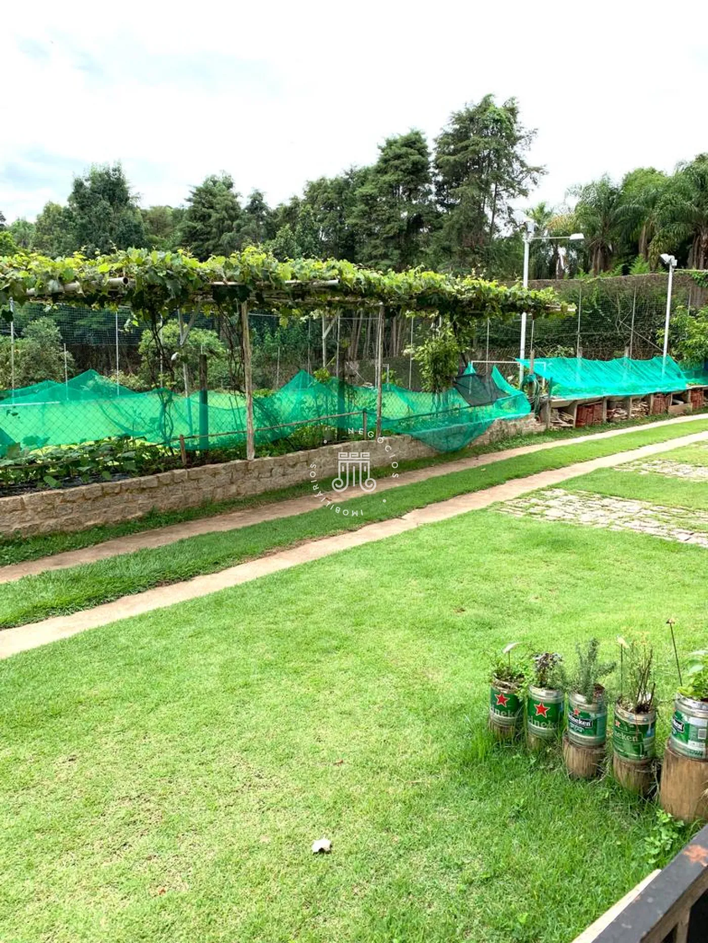 Foto 6