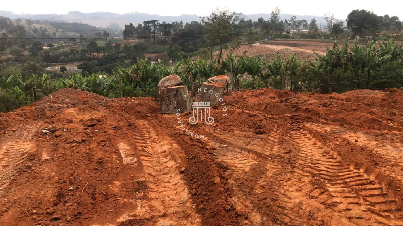 Comprar Terreno / Padrão em Jarinu R$ 59.000,00 - Foto 3