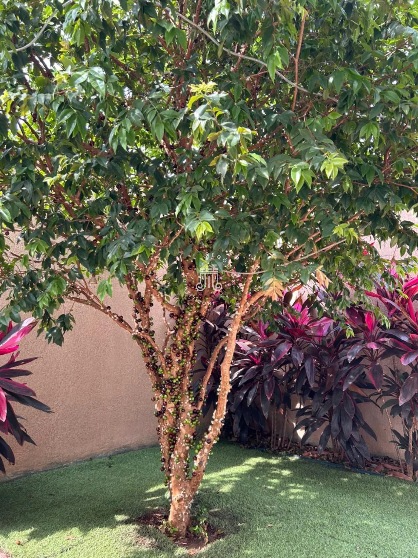 Comprar Casa / Condomínio em Itupeva R$ 1.590.000,00 - Foto 2