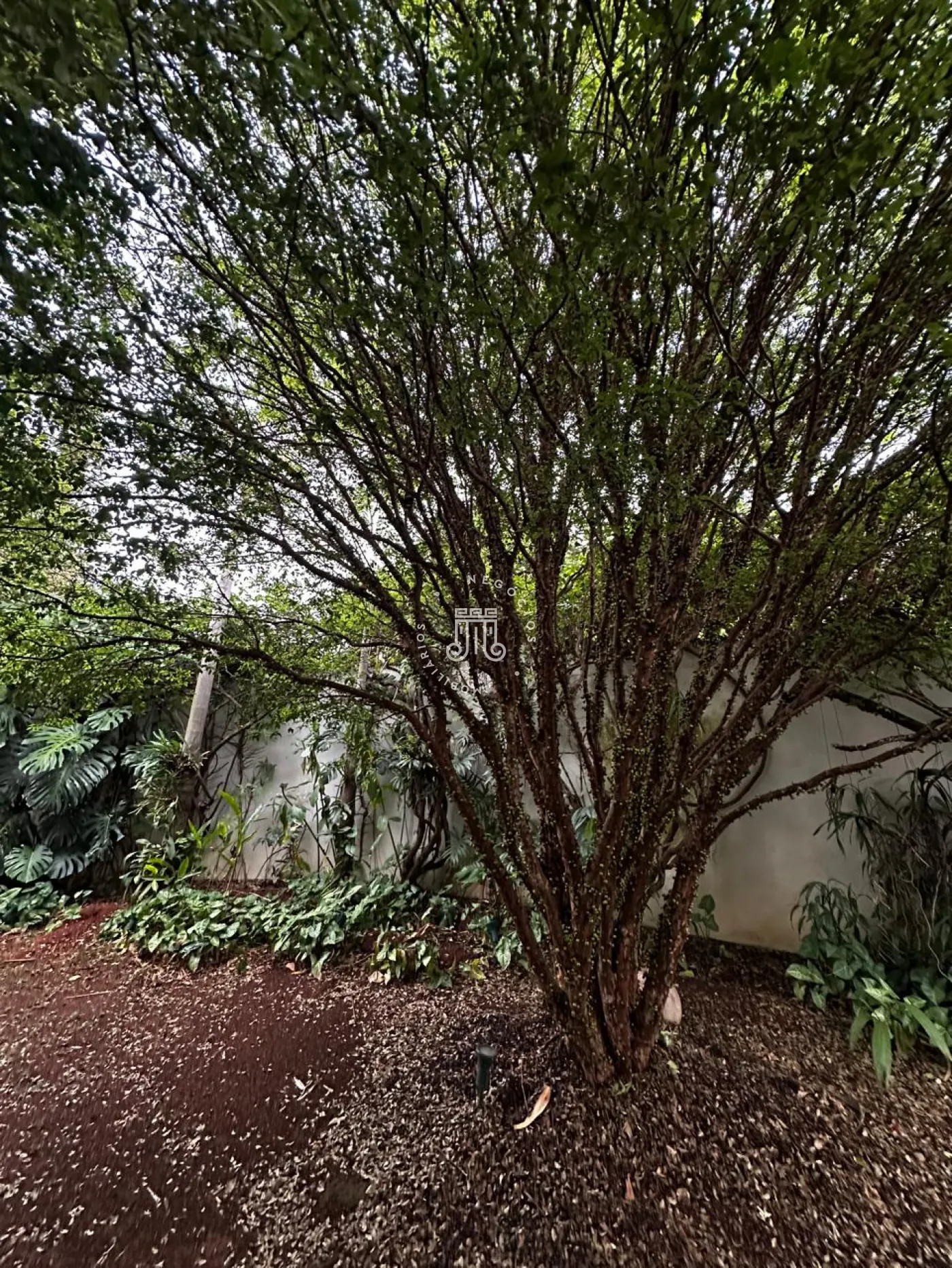 Comprar Casa / Padrão em Jundiaí R$ 2.800.000,00 - Foto 47