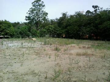 imagem 1 - Terreno - Padrão imagem 1 - Terreno - Padrão