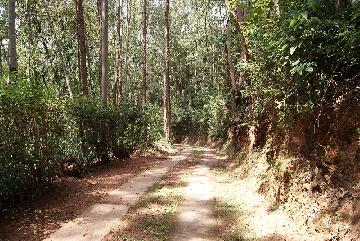 imagem 1 - Rural - Sítio imagem 1 - Rural - Sítio