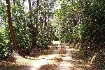 imagem 3 - Rural - Sítio imagem 3 - Rural - Sítio