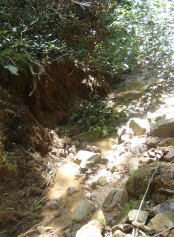 imagem 2 - CHACARA PARA VENDA NO ENGENHO SECO EM LOUVEIRA/SP imagem 2 - CHACARA PARA VENDA NO ENGENHO SECO EM LOUVEIRA/SP