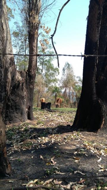 imagem 3 - Terreno - Padrão imagem 3 - Terreno - Padrão