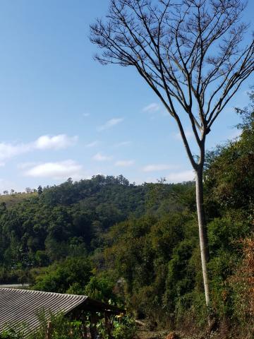 SÍTIO A VENDA NO BAIRRO DO MOINHO EM CAMPO LIMPO PAULISTA/SP