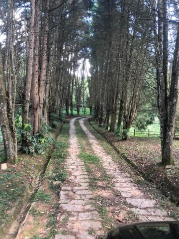 imagem 1 - Rural - Sítio imagem 1 - Rural - Sítio