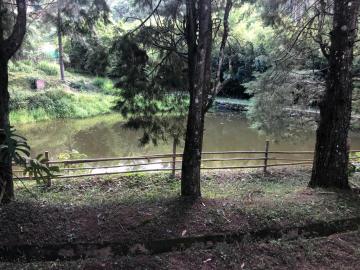 imagem 2 - Rural - Sítio imagem 2 - Rural - Sítio