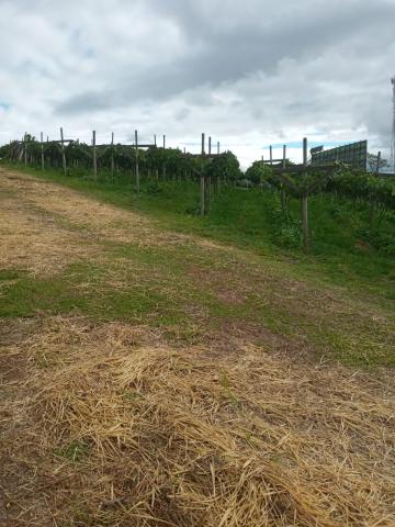 imagem 3 - Terreno - Área imagem 3 - Terreno - Área