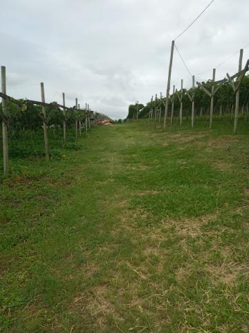 imagem 5 - Terreno - Área imagem 5 - Terreno - Área