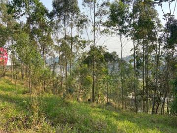 imagem 5 - TERRENO PARA VENDA NO BAIRRO CHACARA RECREIO LAGOA DOS PATOS EM JUNDIAÍ/SP imagem 5 - TERRENO PARA VENDA NO BAIRRO CHACARA RECREIO LAGOA DOS PATOS EM JUNDIAÍ/SP