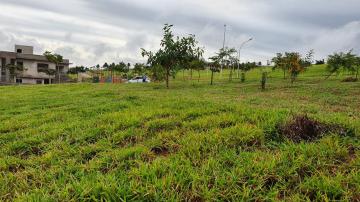 imagem 1 - TERRENO PARA VENDA NO CONDOMÍNIO ALPHAVILLE FASE I EM JUNDIAÍ/SP imagem 1 - TERRENO PARA VENDA NO CONDOMÍNIO ALPHAVILLE FASE I EM JUNDIAÍ/SP