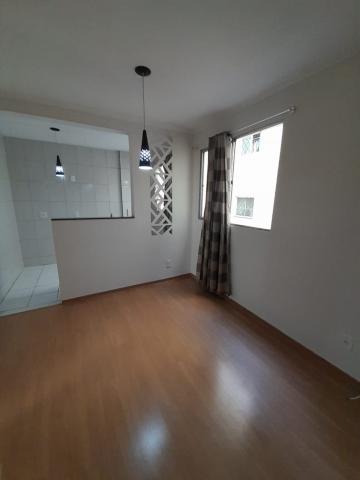imagem 3 - Apartamento - Padrão imagem 3 - Apartamento - Padrão