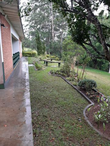 imagem 3 - Rural - Chácara imagem 3 - Rural - Chácara