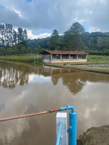 Chácara a venda com 2 casas na cidade de Jarinu/SP com divisa para Campo Limpo Paulista/SP