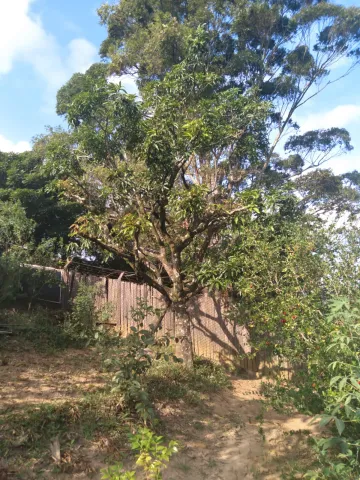 Chácara a venda com 1 dormitório no bairro Ivoturucaia em Jundiaí-SP