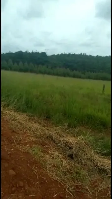 TERRENO À VENDA LOCALIZADO NO BAIRRO CAIOÇARA EM JARINU-SP.