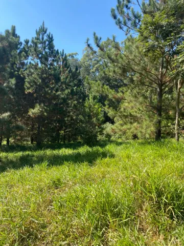 imagem 2 - SITIO EM CABREUVA À VENDA COM TERENO DE 49.000 M² LOCALIZADO NO BAIRRO BAIRRO PINHAL EM CABREÚVA-SP. imagem 2 - SITIO EM CABREUVA À VENDA COM TERENO DE 49.000 M² LOCALIZADO NO BAIRRO BAIRRO PINHAL EM CABREÚVA-SP.