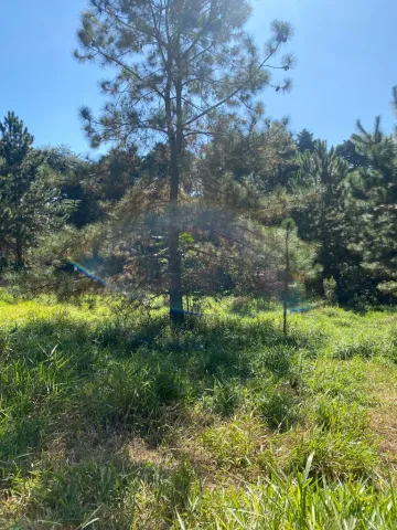 imagem 3 - SITIO EM CABREUVA À VENDA COM TERENO DE 49.000 M² LOCALIZADO NO BAIRRO BAIRRO PINHAL EM CABREÚVA-SP. imagem 3 - SITIO EM CABREUVA À VENDA COM TERENO DE 49.000 M² LOCALIZADO NO BAIRRO BAIRRO PINHAL EM CABREÚVA-SP.