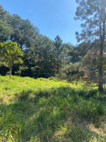 imagem 4 - SITIO EM CABREUVA À VENDA COM TERENO DE 49.000 M² LOCALIZADO NO BAIRRO BAIRRO PINHAL EM CABREÚVA-SP. imagem 4 - SITIO EM CABREUVA À VENDA COM TERENO DE 49.000 M² LOCALIZADO NO BAIRRO BAIRRO PINHAL EM CABREÚVA-SP.