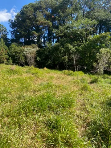 imagem 5 - SITIO EM CABREUVA À VENDA COM TERENO DE 49.000 M² LOCALIZADO NO BAIRRO BAIRRO PINHAL EM CABREÚVA-SP. imagem 5 - SITIO EM CABREUVA À VENDA COM TERENO DE 49.000 M² LOCALIZADO NO BAIRRO BAIRRO PINHAL EM CABREÚVA-SP.