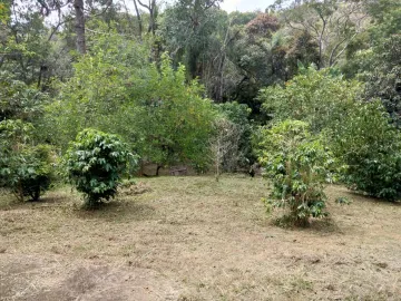 imagem 2 - Rural - Chácara imagem 2 - Rural - Chácara