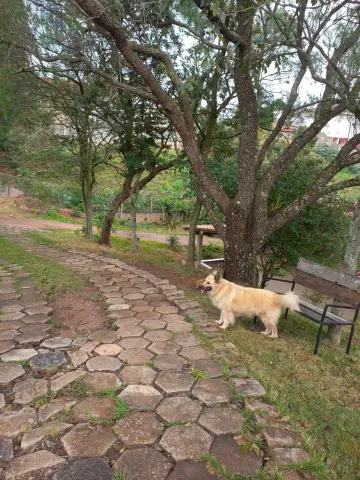 Alugar Rural / Chácara em Louveira. apenas R$ 640.000,00