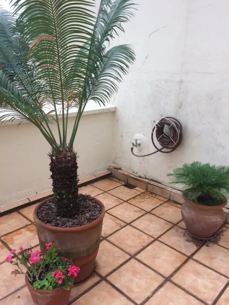 imagem 5 - APARTAMENTO COM 150 m² À VENDA - CONDOMÍNIO ERMIDA NO ANHANGABAÚ EM JUNDIAÍ/SP imagem 5 - APARTAMENTO COM 150 m² À VENDA - CONDOMÍNIO ERMIDA NO ANHANGABAÚ EM JUNDIAÍ/SP