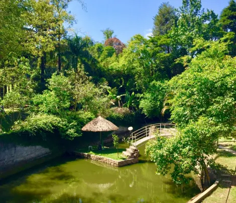 imagem 5 - CHÁCARA DE RUA COMPLETA COM POMAR E LAGO NO JARDIM ITÁLIA EM JUNDIAÍ/SP imagem 5 - CHÁCARA DE RUA COMPLETA COM POMAR E LAGO NO JARDIM ITÁLIA EM JUNDIAÍ/SP