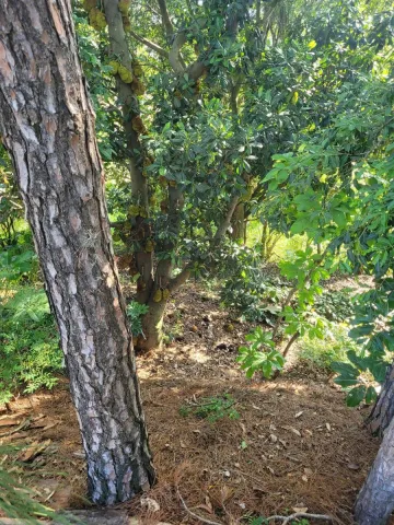 imagem 3 - LOTE À VENDA NO CONDOMÍNIO RESIDENCIAL NOVO MUNDO EM JUNDIAÍ/SP imagem 3 - LOTE À VENDA NO CONDOMÍNIO RESIDENCIAL NOVO MUNDO EM JUNDIAÍ/SP