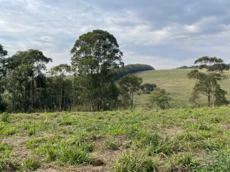 imagem 3 - TERRENO À VENDA COM 20.935 M2 - LOTEAMENTO SÍTIO PRIMAVERA - JARINU/SP imagem 3 - TERRENO À VENDA COM 20.935 M2 - LOTEAMENTO SÍTIO PRIMAVERA - JARINU/SP