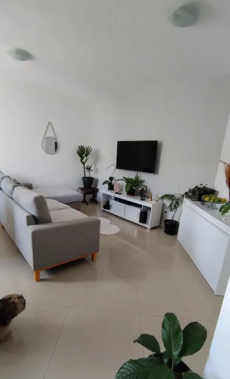 Alugar Apartamento / Padrão em Jundiaí. apenas R$ 280.000,00