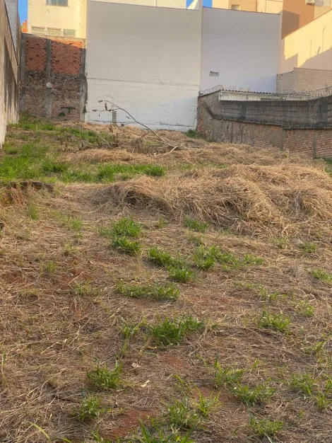 imagem 1 - Terreno - Padrão imagem 1 - Terreno - Padrão