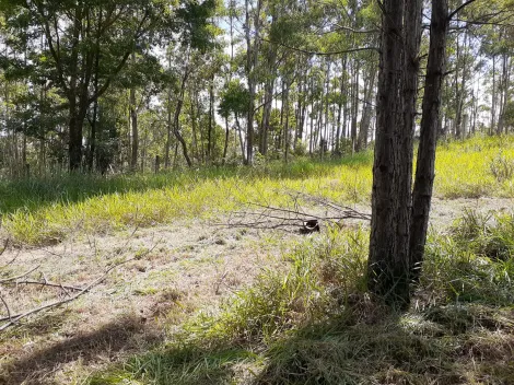 imagem 1 - TERRENO PARA CHÁCARA À VENDA NO BAIRRO CHÁCARAS MALTONI/JUNDIAÍ-SP imagem 1 - TERRENO PARA CHÁCARA À VENDA NO BAIRRO CHÁCARAS MALTONI/JUNDIAÍ-SP