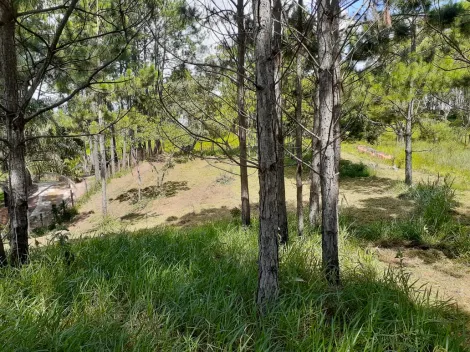 imagem 2 - TERRENO PARA CHÁCARA À VENDA NO BAIRRO CHÁCARAS MALTONI/JUNDIAÍ-SP imagem 2 - TERRENO PARA CHÁCARA À VENDA NO BAIRRO CHÁCARAS MALTONI/JUNDIAÍ-SP