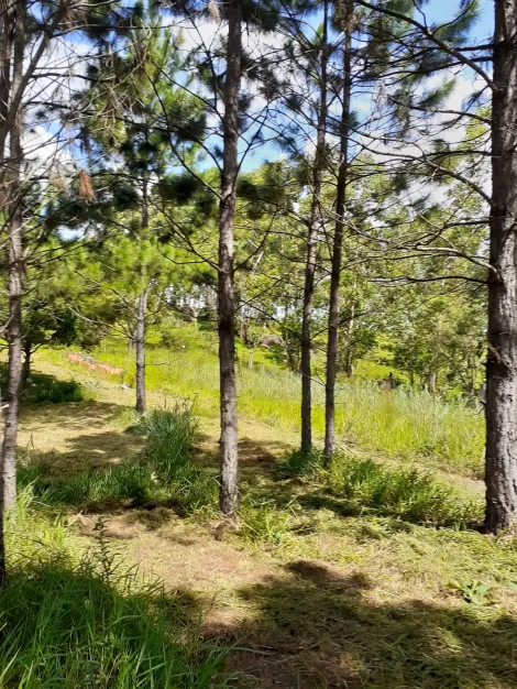 imagem 4 - TERRENO PARA CHÁCARA À VENDA NO BAIRRO CHÁCARAS MALTONI/JUNDIAÍ-SP imagem 4 - TERRENO PARA CHÁCARA À VENDA NO BAIRRO CHÁCARAS MALTONI/JUNDIAÍ-SP