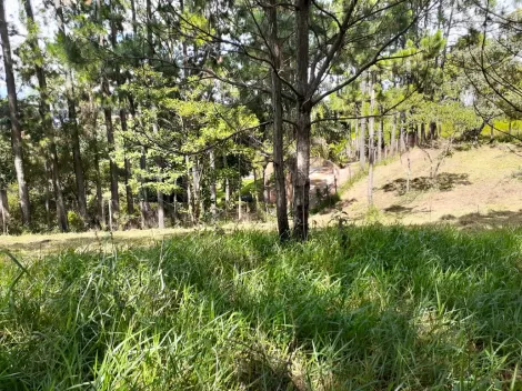 imagem 5 - TERRENO PARA CHÁCARA À VENDA NO BAIRRO CHÁCARAS MALTONI/JUNDIAÍ-SP imagem 5 - TERRENO PARA CHÁCARA À VENDA NO BAIRRO CHÁCARAS MALTONI/JUNDIAÍ-SP