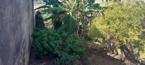imagem 3 - TERRENO Á VENDA NO JARDIM PACAEMBU - JUNDIAÍ/SP imagem 3 - TERRENO Á VENDA NO JARDIM PACAEMBU - JUNDIAÍ/SP