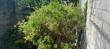 imagem 4 - TERRENO Á VENDA NO JARDIM PACAEMBU - JUNDIAÍ/SP imagem 4 - TERRENO Á VENDA NO JARDIM PACAEMBU - JUNDIAÍ/SP