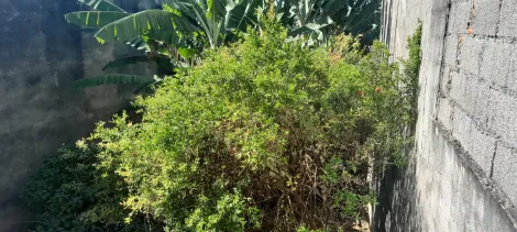 imagem 5 - TERRENO Á VENDA NO JARDIM PACAEMBU - JUNDIAÍ/SP imagem 5 - TERRENO Á VENDA NO JARDIM PACAEMBU - JUNDIAÍ/SP