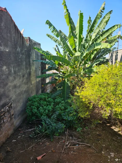 imagem 1 - TERRENO Á VENDA NO JARDIM PACAEMBU - JUNDIAÍ/SP imagem 1 - TERRENO Á VENDA NO JARDIM PACAEMBU - JUNDIAÍ/SP