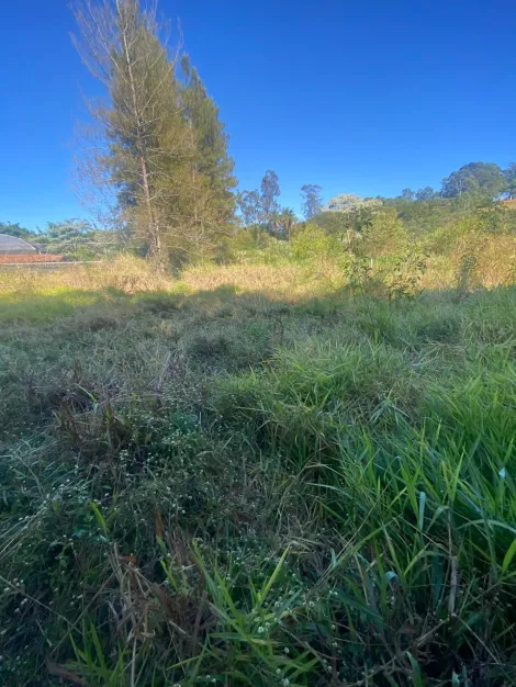 imagem 2 - CHÁCARA À VENDA EM ITATIBA COM 7.889,88 M² - FRENTE ASFALTO imagem 2 - CHÁCARA À VENDA EM ITATIBA COM 7.889,88 M² - FRENTE ASFALTO
