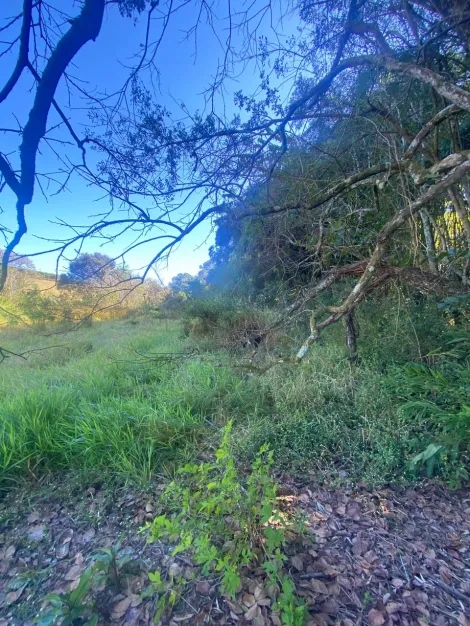 imagem 4 - CHÁCARA À VENDA EM ITATIBA COM 7.889,88 M² - FRENTE ASFALTO imagem 4 - CHÁCARA À VENDA EM ITATIBA COM 7.889,88 M² - FRENTE ASFALTO