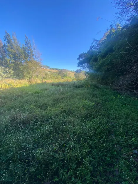 imagem 3 - CHÁCARA À VENDA EM ITATIBA COM 7.889,88 M² - FRENTE ASFALTO imagem 3 - CHÁCARA À VENDA EM ITATIBA COM 7.889,88 M² - FRENTE ASFALTO