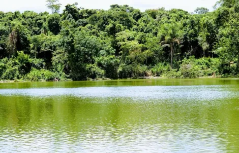 imagem 2 - ÁREA A VENDA EM ITUPEVA/SP imagem 2 - ÁREA A VENDA EM ITUPEVA/SP