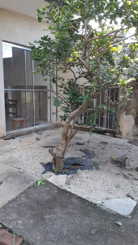 imagem 2 - TERRENO PLANO MURADO COM EDÍCULA NOS FUNDOS À VENDA EM CAMPO LIMPO PAULISTA/SP imagem 2 - TERRENO PLANO MURADO COM EDÍCULA NOS FUNDOS À VENDA EM CAMPO LIMPO PAULISTA/SP