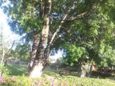 imagem 5 - Rural - Chácara imagem 5 - Rural - Chácara