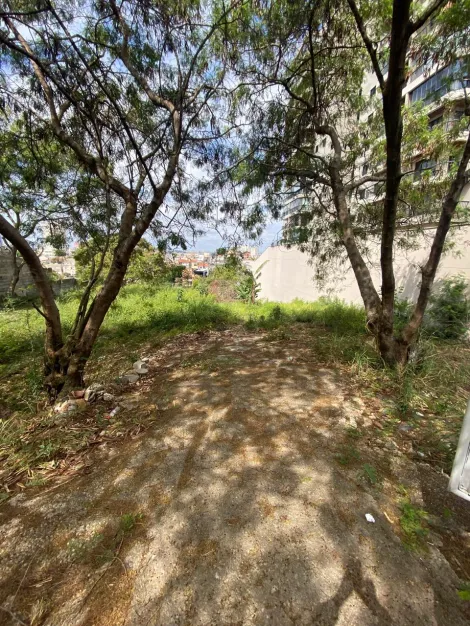 imagem 5 - TERRENO À VENDA - COMERCIAL COM 2.010 M² EM DECLIVE - BAIRRO ANHANGABAU - JUNDIAI/SP imagem 5 - TERRENO À VENDA - COMERCIAL COM 2.010 M² EM DECLIVE - BAIRRO ANHANGABAU - JUNDIAI/SP