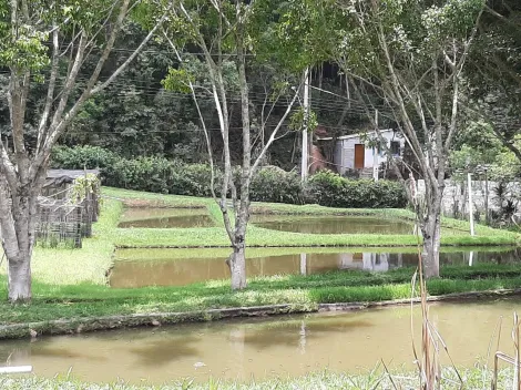 imagem 3 - CHÁCARA À VENDA - BAIRRO ESTÂNCIA SÃO PAULO - CAMPO LIMPO PAULISTA/SP imagem 3 - CHÁCARA À VENDA - BAIRRO ESTÂNCIA SÃO PAULO - CAMPO LIMPO PAULISTA/SP